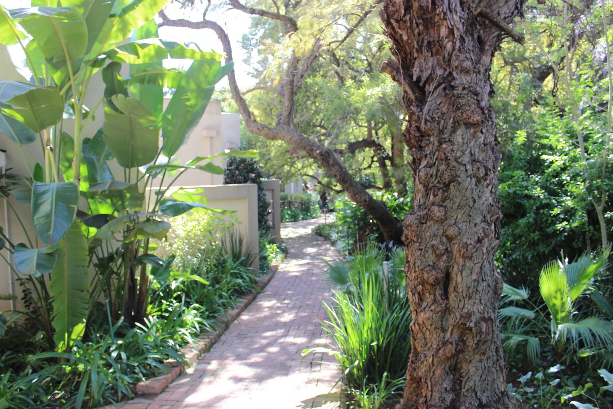 Village Ridge Boutique Stays Pretoria-Noord Esterno foto